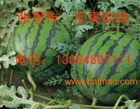 潍坊新瓜最新爆料,揭秘背后惊人真相  第1张