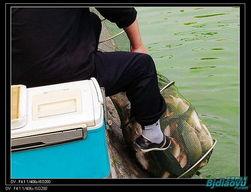 钓鱼爆料视频最新版,揭秘钓鱼技巧与陷阱  第3张